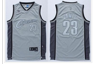Cleveland Cavaliers #23 LeBron James Stitched Grey Anniversary Style NBA Jersey