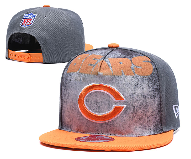 Bears Team Logo Gray Adjustable Hat TX