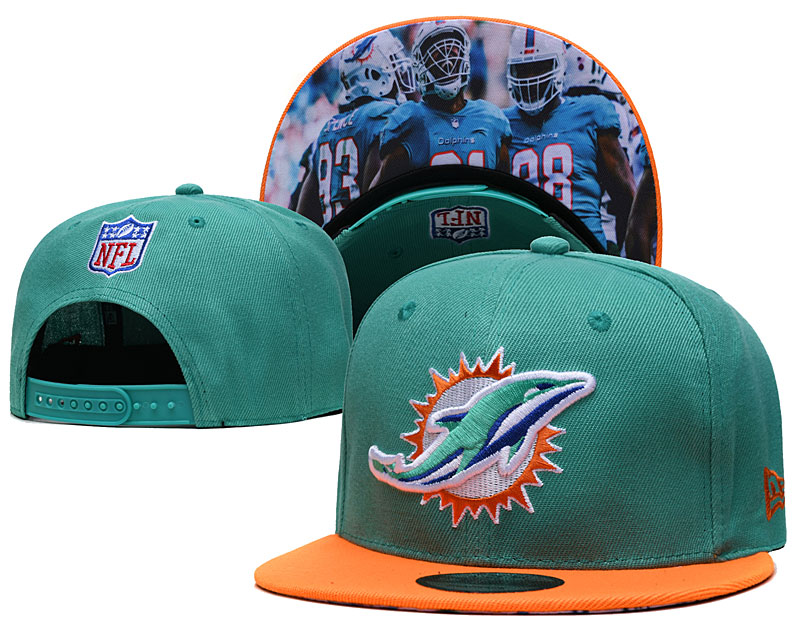 Dolpins Team Logo Snapback Hat